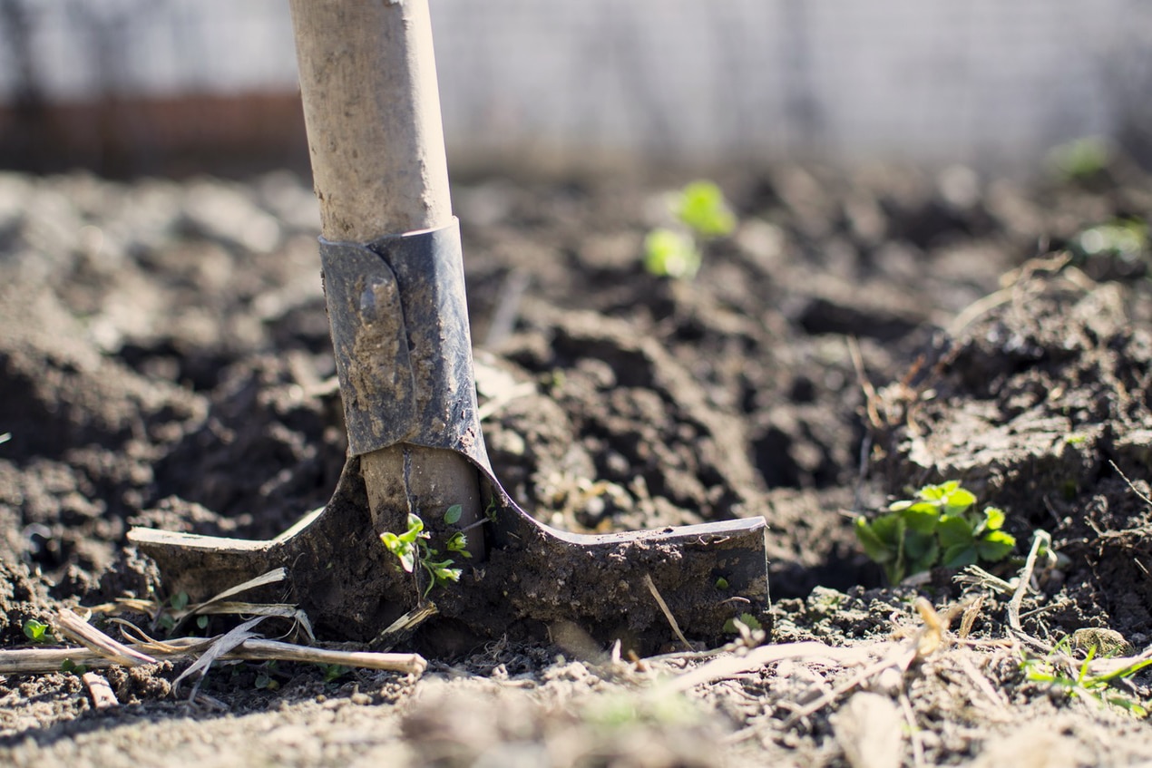 Soil vs. Dirt: What's the Difference?