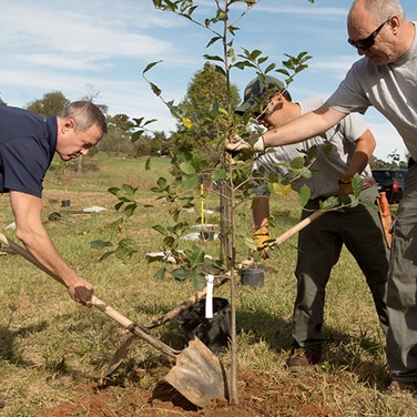Plant a Tree for Arbor Day - Weston Nurseries