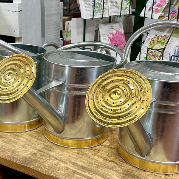 Silver garden watering cans, Mother's Day gift ideas, Weston Nurseries