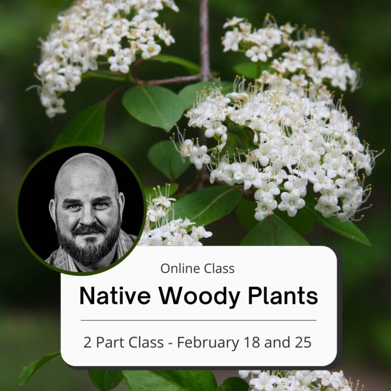 Online Native Woody Plants with Trevor Smith (Part 2/2) Weston Nurseries