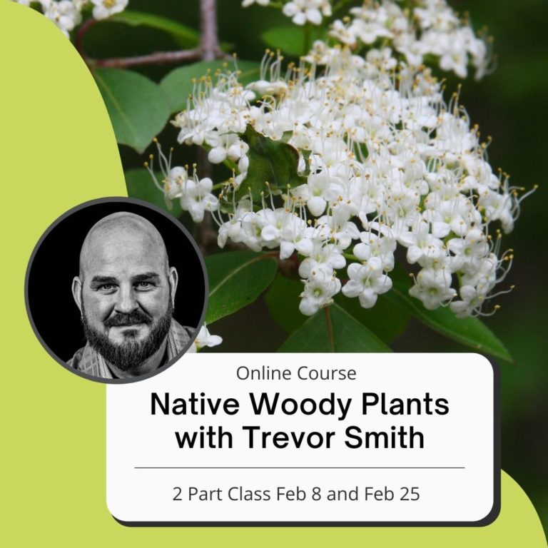 Online Native Woody Plants with Trevor Smith (Part1/2) Weston Nurseries