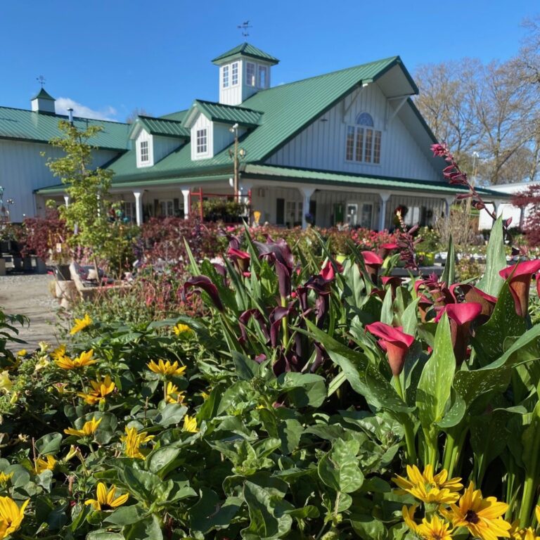 Locations Weston Nurseries