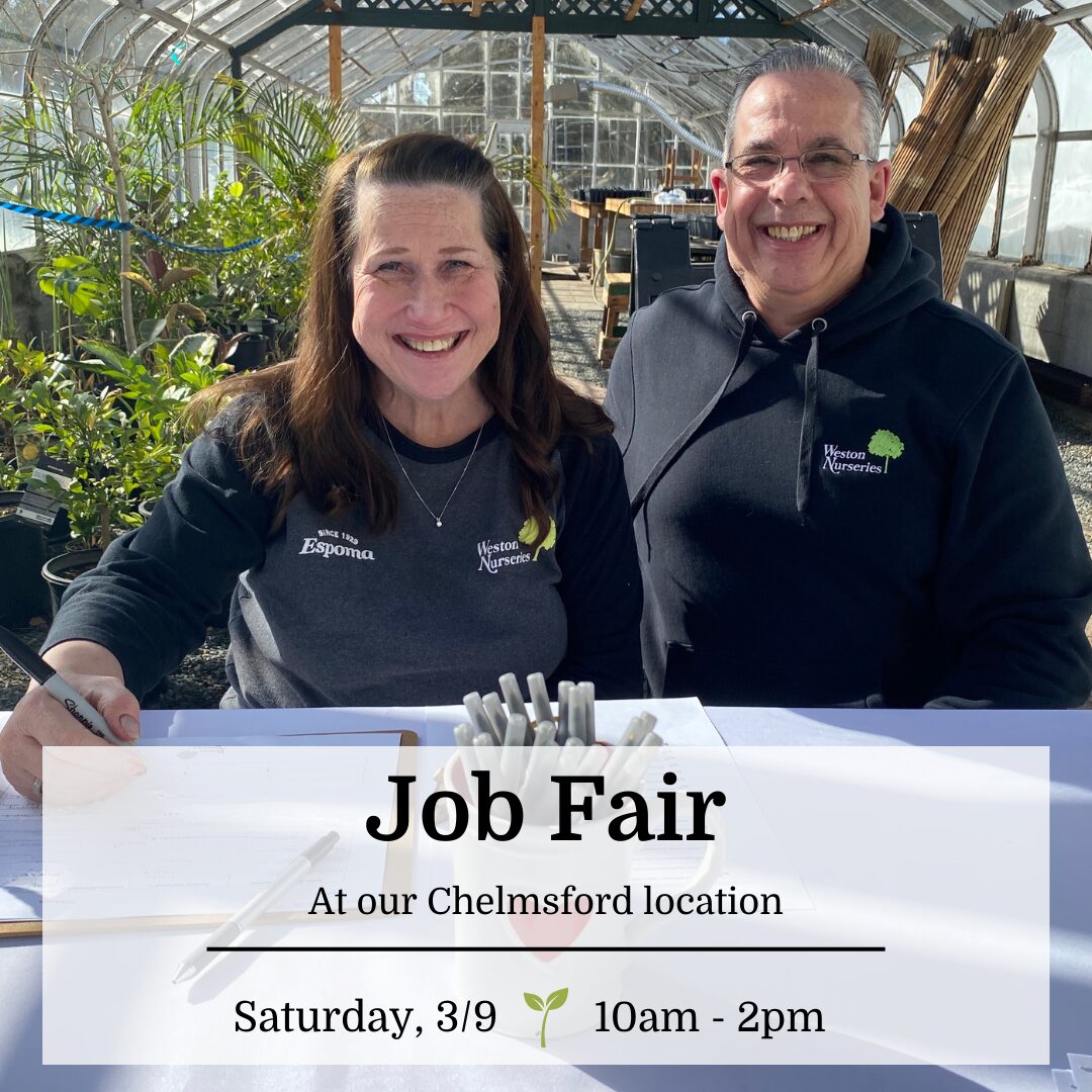 Job Fair at our Chelmsford Location March 9 10am-2pm