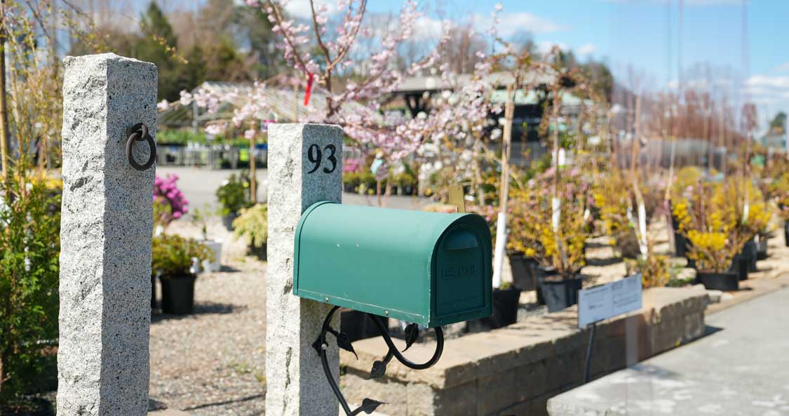 mailbox with granite stone post