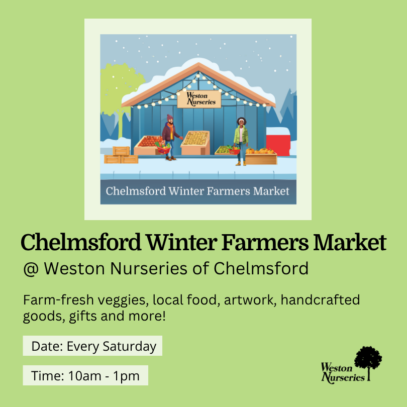 Chelmsford Winter Market