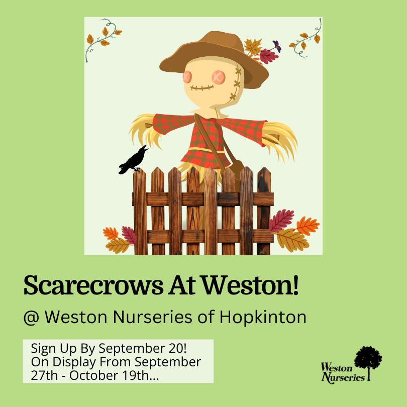 Scarecrows