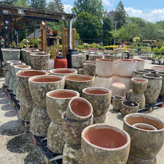 An arrangement of planters and pottery at Weston Nurseries Hingham