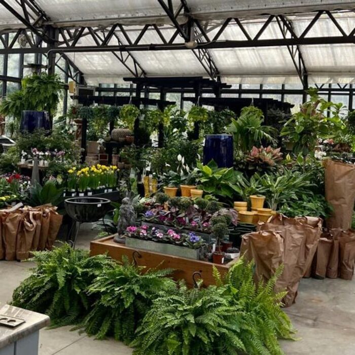 Lincoln Weston Nurseries